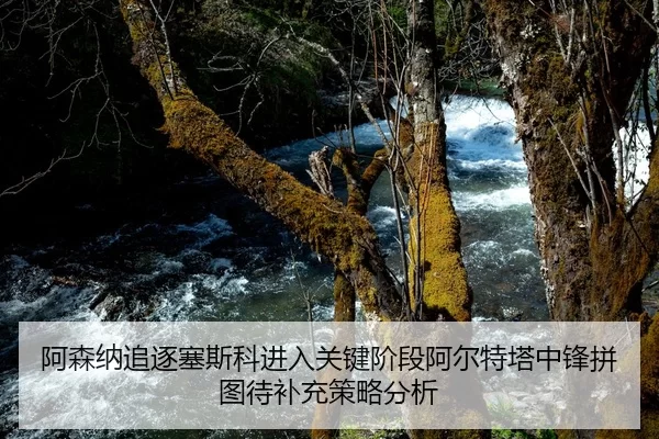 阿森纳追逐塞斯科进入关键阶段阿尔特塔中锋拼图待补充策略分析