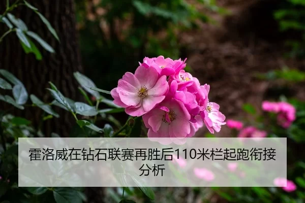 霍洛威在钻石联赛再胜后110米栏起跑衔接分析
