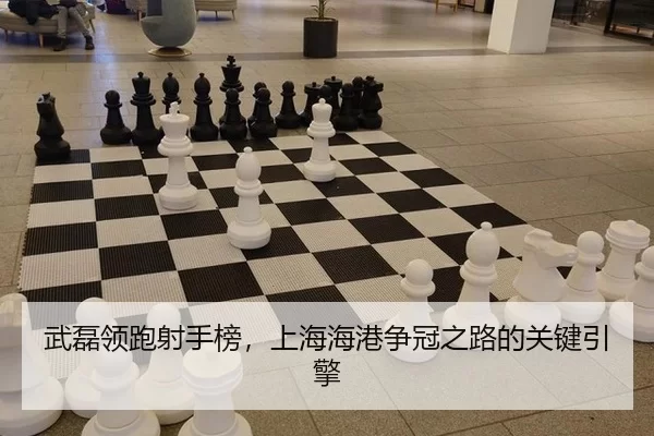 wu-lei-ling-pao-she-shou-bang-shang-hai-hai-gang-zheng-guan-zhi-lu-de-guan-jian-yin-qing-2-776.jpg