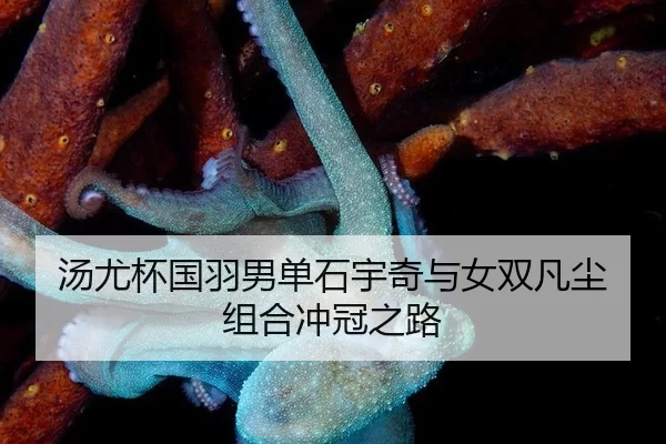 tang-you-bei-guo-yu-nan-dan-shi-yu-qi-yu-nv-shuang-fan-chen-zu-he-chong-guan-zhi-lu-2-493.jpg